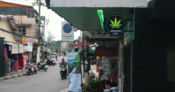Koh Samui Thajsko Září 2022 Konopný Obchod Turistické Oblasti Legalizace — Stock video