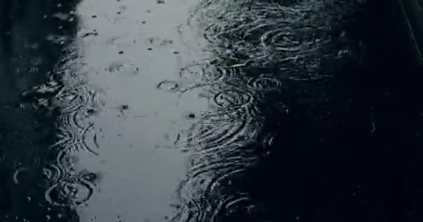Wolny Ruch Deszczu Uderzający Kałużę Podczas Burzy Podmiejskiej Krople Deszczu — Wideo stockowe