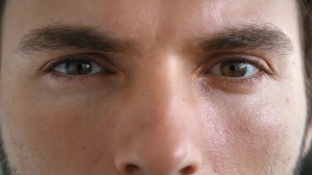 Zastřižená Tvář Portrét Mladého Muže Mocnýma Hnědýma Očima Bystrým Pohledem — Stock video