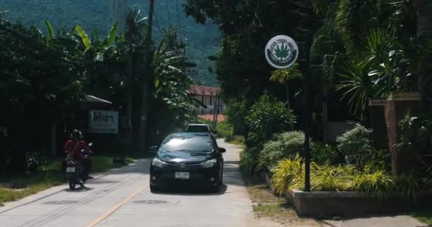 Koh Samui Thailand September 2022 Cannabis Geschäft Touristengebiet Legalisierung Von — Stockvideo