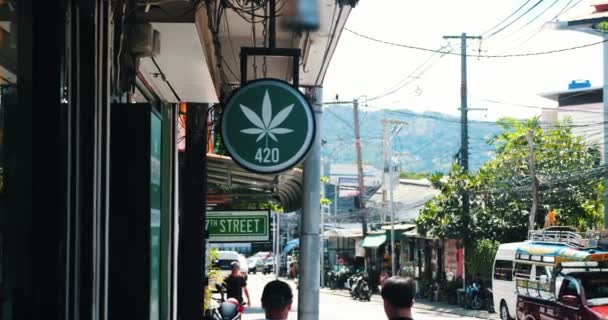 Koh Samui Thailand September 2022 Cannabis Butik Turistområdet Legalisering Marijuana — Stockvideo
