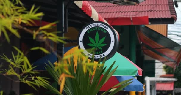 Koh Samui Thailand September 2022 Cannabis Shop Tourist Area Legalization — Stock Video