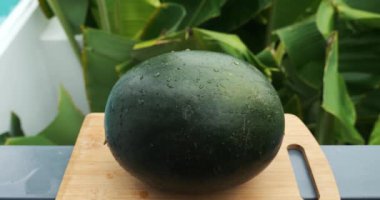 Detaylar: Kabuğunda su damlaları olan organik karpuz, tropik palmiye yapraklarına karşı ahşap bir tahta üzerinde