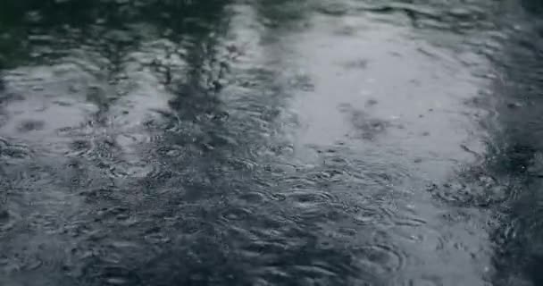 Капли Летних Проливных Дождей Осаждаются Асфальте Городского Пейзажа Сезон Дождей — стоковое видео