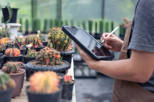 Farmer hand using digital mobile tablet for checking fresh cactus in greenhouse garden nursery farm, digital technology, agriculture business concept
