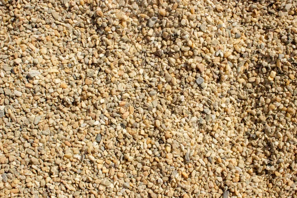 Small stones texture. pebbles on the beach — Stock Photo, Image