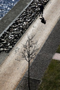 Koşucu ben Flensburger Hafen 