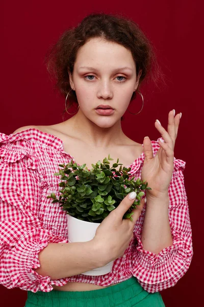 Pembe bluzlu genç kadın beyaz tenceredeki bir bitkiyle poz veriyor. — Stok fotoğraf