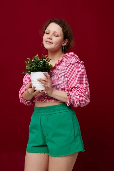 Mulher alegre com uma flor em um pote em suas mãos vermelho fundo inalterado — Fotografia de Stock