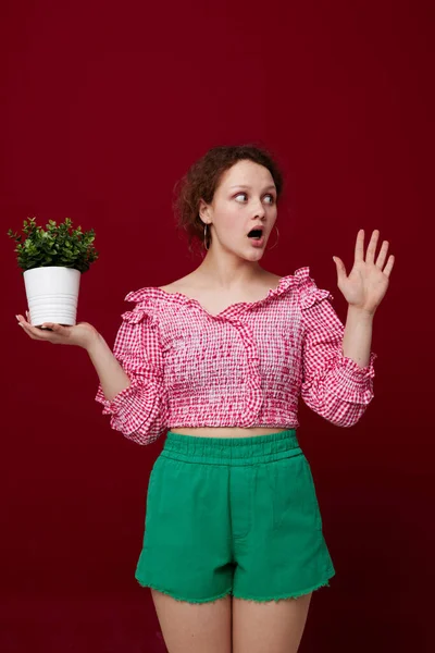 Young woman standin and holding flower in pot red background — Fotografia de Stock