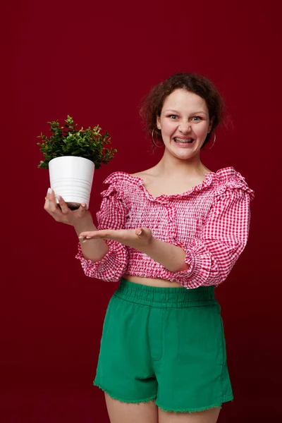 Pretty woman in pink blouse flower potted emotions posing unaltered — Stock Photo, Image