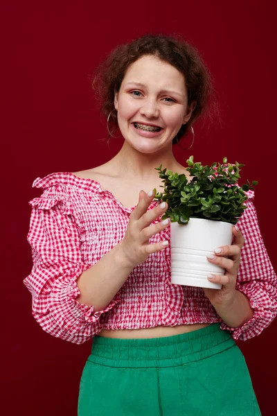 Cheerful girl in a pink blouse pot with a flower in her hands red background — Stock Photo, Image