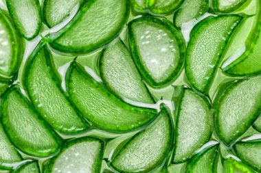 Aloe Vera yakın plan. aloe vera dilim üst görünüm dokusu arka plan. Aloevera bitkisi, doğal organik yenilenme kozmetikleri, alternatif ilaçlar.