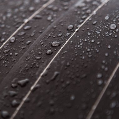 Suya dayanıklı tekstil su geçirmez kaplama üzerine yağmur damlaları. Suya dayanıklı kumaş, yaratıcı pankart tasarımı için gerçekçi saf su damlası damlaları. 