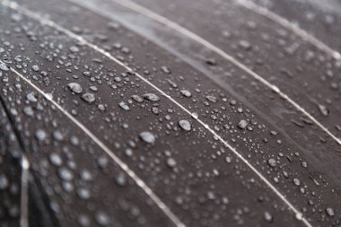 Suya dayanıklı tekstil su geçirmez kaplama üzerine yağmur damlaları. Suya dayanıklı kumaş, yaratıcı pankart tasarımı için gerçekçi saf su damlası damlaları. 