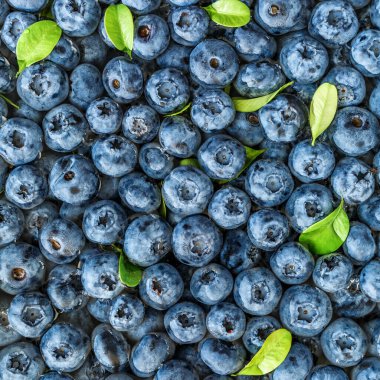 Olgun tatlı yaban mersinine su damlası. Metnin için fotokopi alanı olan taze yabanmersini arkaplanı. Vejetaryen ve vejetaryen kavramı. Yaban mersinli böğürtlenlerin makro dokusu. Yaban mersinli dokular kapanıyor.