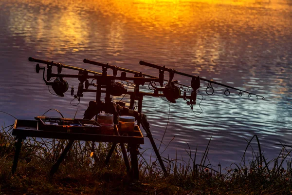 Aventuras Pesca Pesca Carpas Pescador Atardecer Pesca Con Técnica Carpintería —  Fotos de Stock