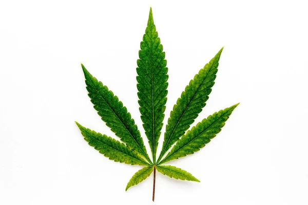 Cannabis Punto Muerto Entre Una Droga Una Medicina Fondo Verde — Foto de Stock