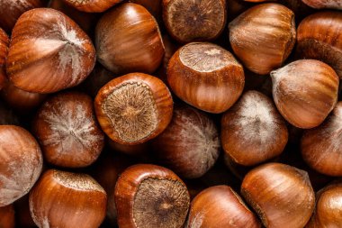 Makro fındıklı fındık. Kabuklu fındıklı fındıklı fındık. Türk fındığı. organik doğal gıdalar. fındık dikey çerçeve. yemek fotoğrafları
