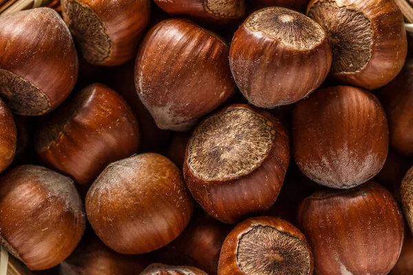 Macro photo Hazelnut nuts. Photo nature food Hazelnut nuts in shell.Turkish hazelnuts. organic natural food. nuts vertical framing. food photos