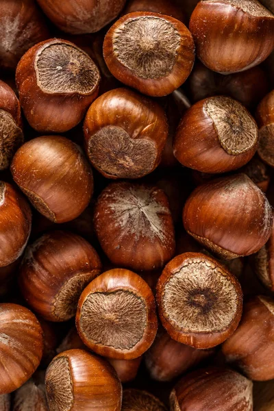 Macro Фото Hazelnut Nuts Фото Продукты Питания Природы Hazelnut Nuts — стоковое фото