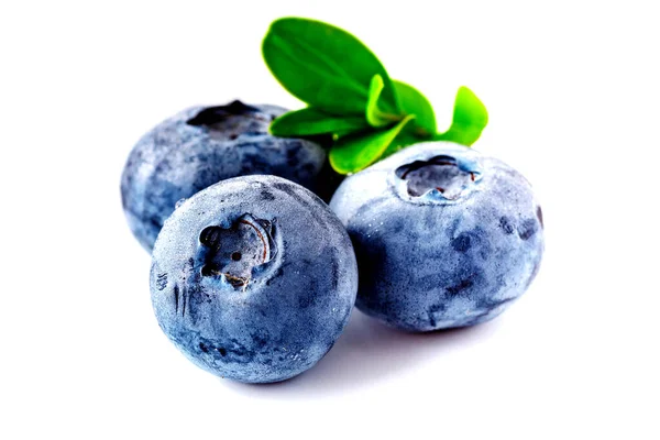 Blueberry Macro Studio Photo Superalimento Orgánico Antioxidante Arándanos Concepto Tazón —  Fotos de Stock