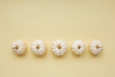 Bej arkaplanda beyaz balkabaklarıyla sonbahar minimal konsepti, kopya alanı ile üst görünüm