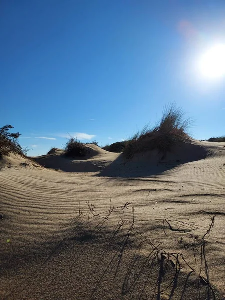 Foto Dune Sabbia Una Giornata Estiva Calda Cielo Blu — Foto Stock