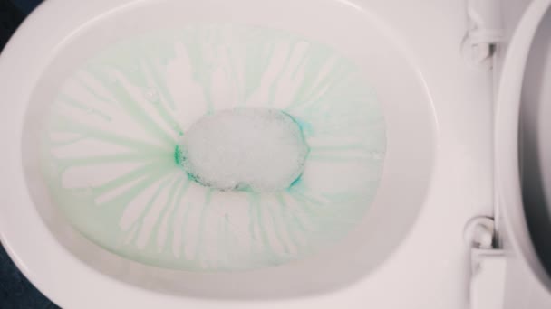 Flushing detergents in the toilet — Vídeo de Stock