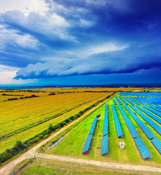 Die Sonnenblumenfelder Und Sonnenkollektoren Wurden Mit Einem Hubschrauber Geschossen Sie — Stockfoto