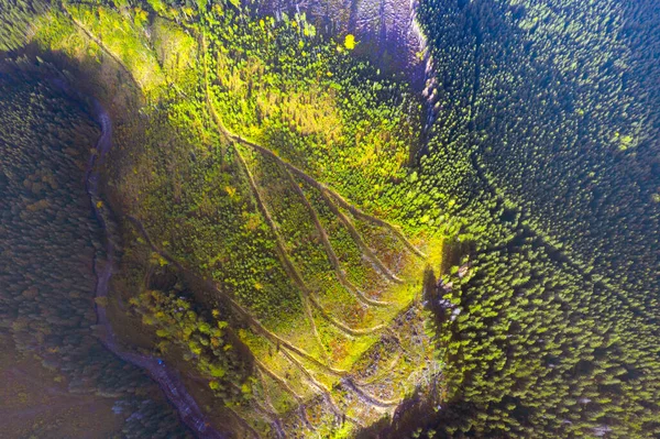 Jesienny Świt Górze Syvuli Ukraina Morze Mgły Zamyka Horyzont Karpatach — Zdjęcie stockowe