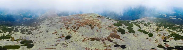 Zboczach Góry Syvuli Ukraina Jesień Wśród Alpejskich Szarych Kamiennych Liści — Zdjęcie stockowe