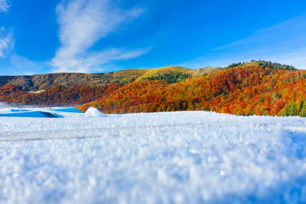 Herfst Beuken Naaldbos Karpaten Oekraïne Oktober Zachte Mist Vorst Mooie — Stockfoto