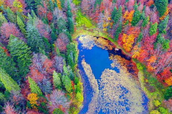 Célèbre Lac Synevyr Une Attraction Touristique Dans Les Carpates Ukraine — Photo