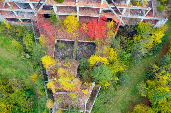 Ruins Tourist Hotel Shelter Carpathians Ukraine Autumn Beech Coniferous Forest — Stock Photo, Image