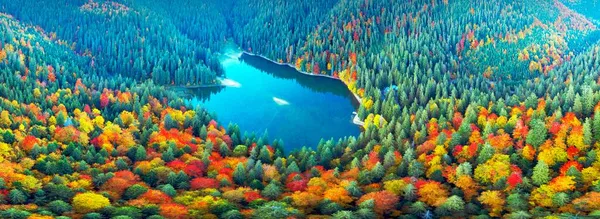 Famoso Lago Synevyr Una Atracción Turística Los Cárpatos Ucrania Haya — Foto de Stock