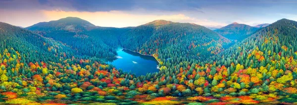 カルパチア ウクライナ 秋のブナや針葉樹林 美しい山の風景で有名なSynevyr湖 観光名所 空中ビュードローンコプター — ストック写真