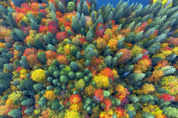 Beroemde Synevyr Meer Een Toeristische Attractie Karpaten Oekraïne Herfst Beuken — Stockfoto