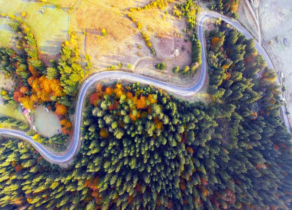 Letecká Fotografie Krásného Horského Průsmyku Krivopol Karpaty Ukrajina Dron Natočil — Stock fotografie
