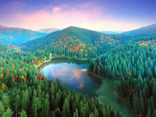 著名的齐纳维尔湖 一个旅游胜地 在喀尔巴阡山脉 乌克兰 秋天山毛榉和针叶林 美丽的山景 空中观察无人驾驶复印机 — 图库照片