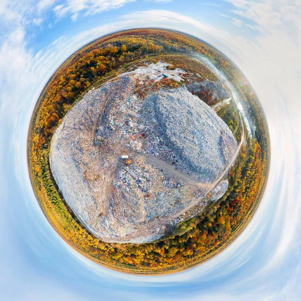 Foresta Autunnale Faggio Conifere Tra Cui Una Discarica Una Grande — Foto Stock