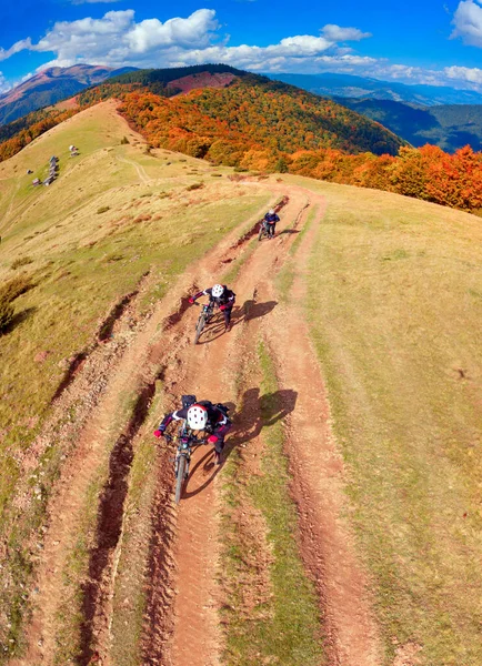 Herfst Transcarpathie Oekraïne Beuken Naaldbossen Zijn Schilderachtig Kleurrijk Mountainbikers Beklimmen — Stockfoto
