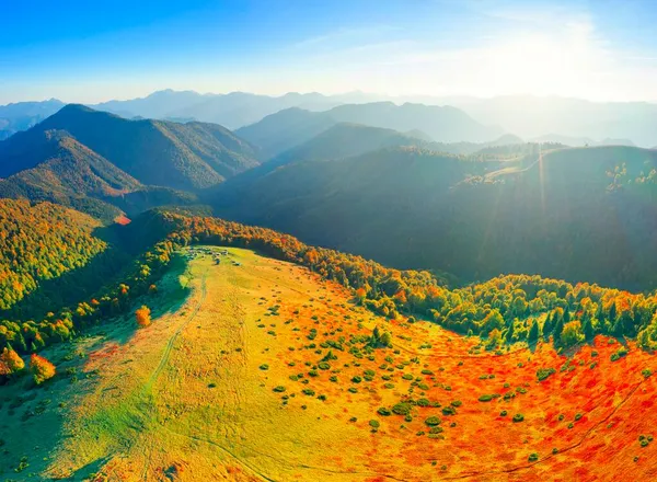 Autumn Transcarpathia Ukraine Beech Coniferous Forests Picturesque Colorful Morning Fogs — Stock Photo, Image