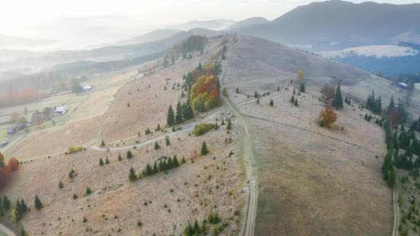 野生旅游胜地 秋天的山毛榉和针叶林在十月的喀尔巴阡山畔的乌克兰 美丽的红色和黄色橙色 Aerial View Video Drone Copter — 图库视频影像