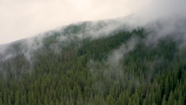 Ucraina Carpazi Cime Rocciose Gorgan Khomyak Synyak Tra Foreste Conifere — Video Stock