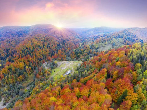 Gungstol För Oljepumpar Karpaterna Ukraina Höstbok Och Barrskog Energioberoende Flygfoto — Stockfoto