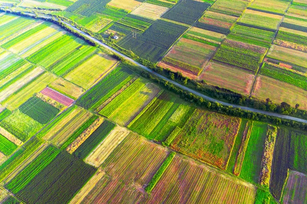 Zbor Câmpurile Orașului Galich Satul Krilos Apropierea Râului Mare Ucrainean Fotografie de stoc