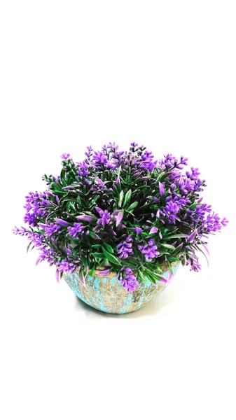 Beyaz arka planda vazoda leylak çiçekleri