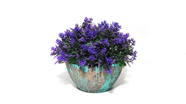 Beyaz arka planda bir saksıda mavi çiçeklerden oluşan güzel bir buket