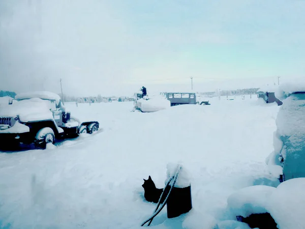 Karla kaplı bir otoparkta inşaat işleri, yollar, fabrikalar için özel araçlar